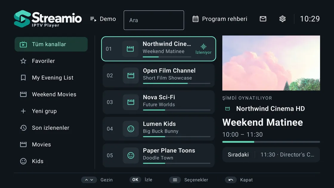 TV'de Streamio Player ana ekranı: kanal grupları, şu an oynayan programlarla kanal listesi ve rehberli canlı önizleme