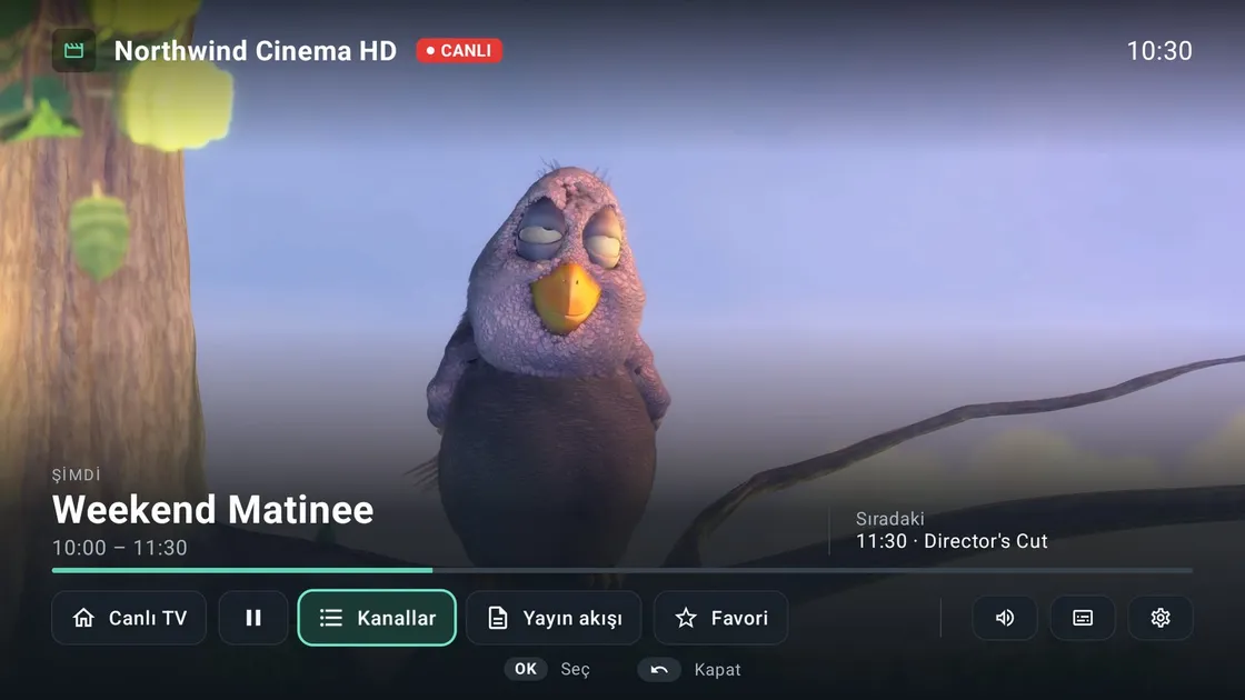 Şimdiki ve sıradaki programla tam ekran oynatıcı, ilerleme çubuğu ve kanallar, yayın akışı, favori düğmeleri