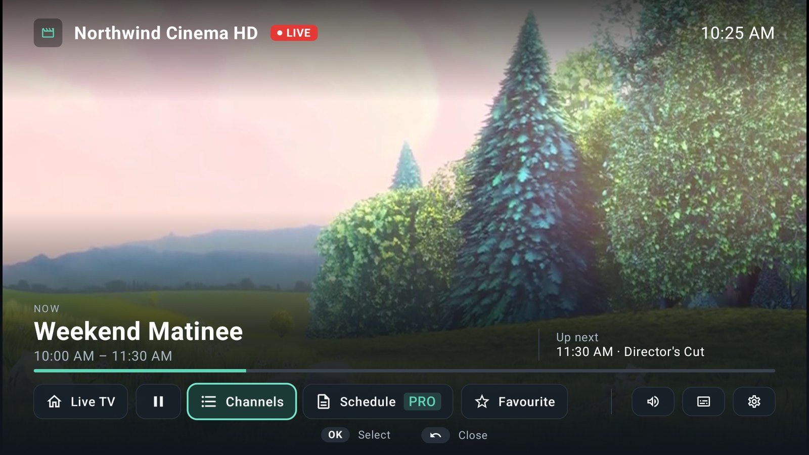 Full-screen player with the programme now and next, a progress bar and buttons for channels, schedule and favourites