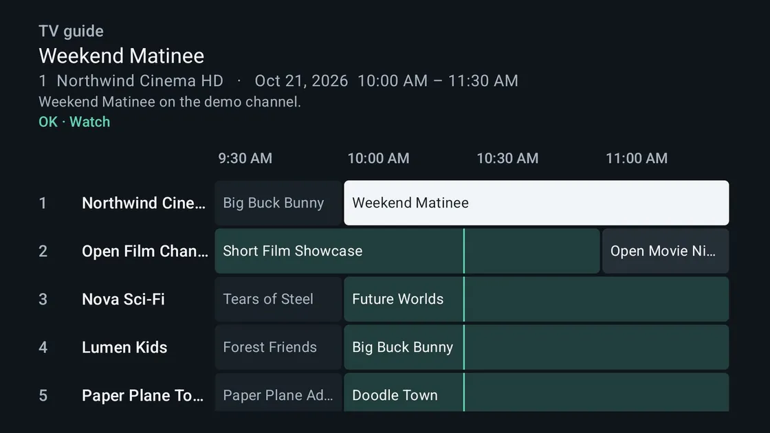 TV guide grid with programmes of several channels over time
