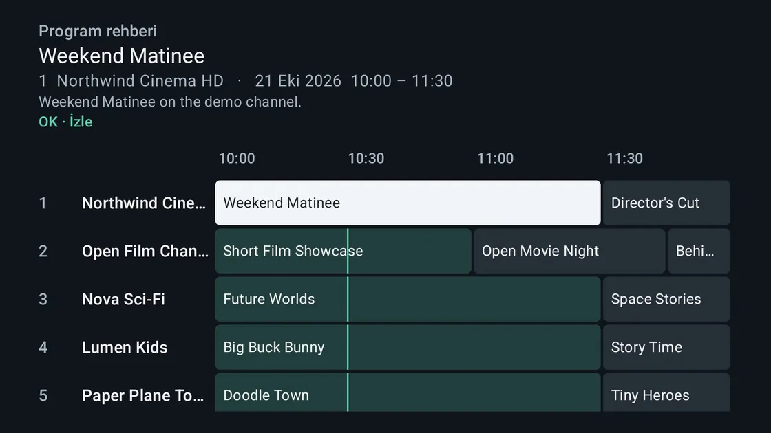 Birden çok kanalın programlarını saat saat gösteren program rehberi