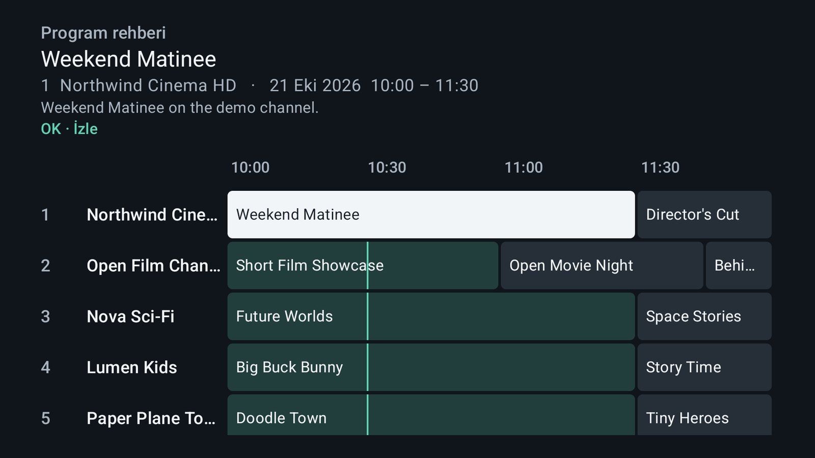 Birden çok kanalın programlarını saat saat gösteren program rehberi